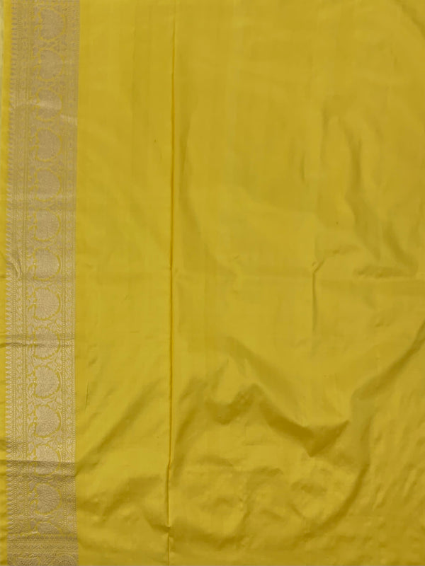 Banarasi Saree