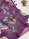 Organza Saree