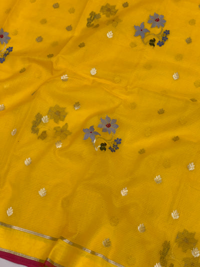 Zari Kota Saree Mango-Yellow In Color