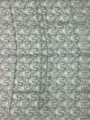 Organza Saree