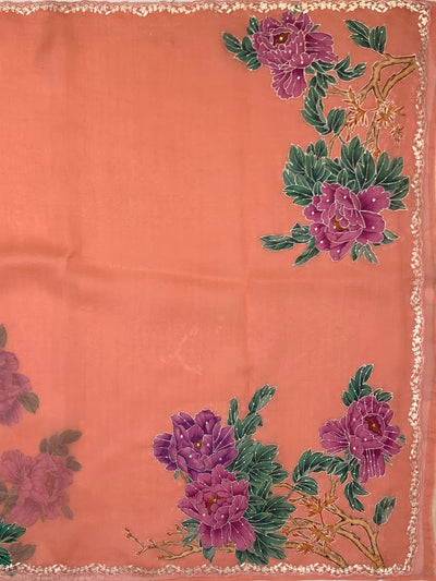 Organza Saree