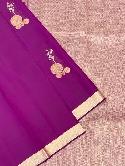 Kanjeevaram Saree