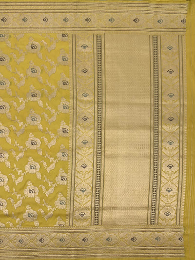 Banarasi Saree