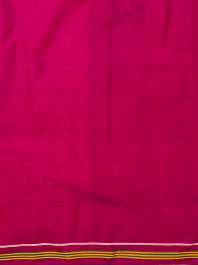 Fusion Saree