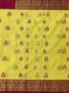 Chanderi Kora Saree Yellow In Colour