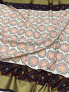 Exquisite Handloom Cream Ikat Silk Saree