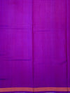 Deep Royal Purple Handloom Patola Silk Saree with Macaw Pallu
