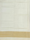 Exquisite Rajkot Patola Silk Saree – Floral & Parrot Pattern