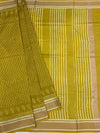 Lemon Green Printed Cotton Saree with Striped Pallu
