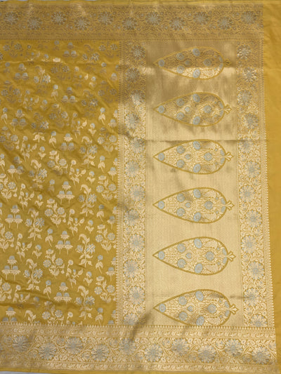Banarasi Saree