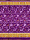 Rajkot Patola Saree