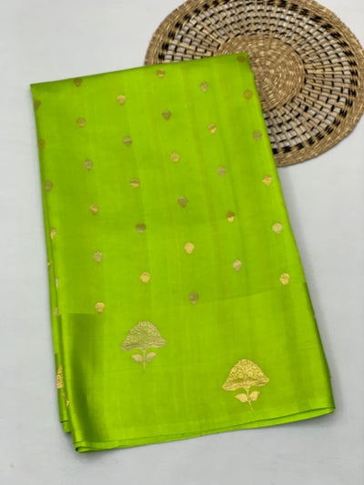 Chanderi Saree