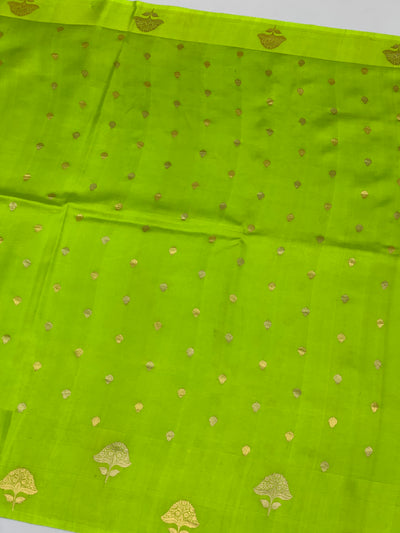 Chanderi Saree