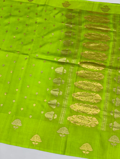 Chanderi Saree
